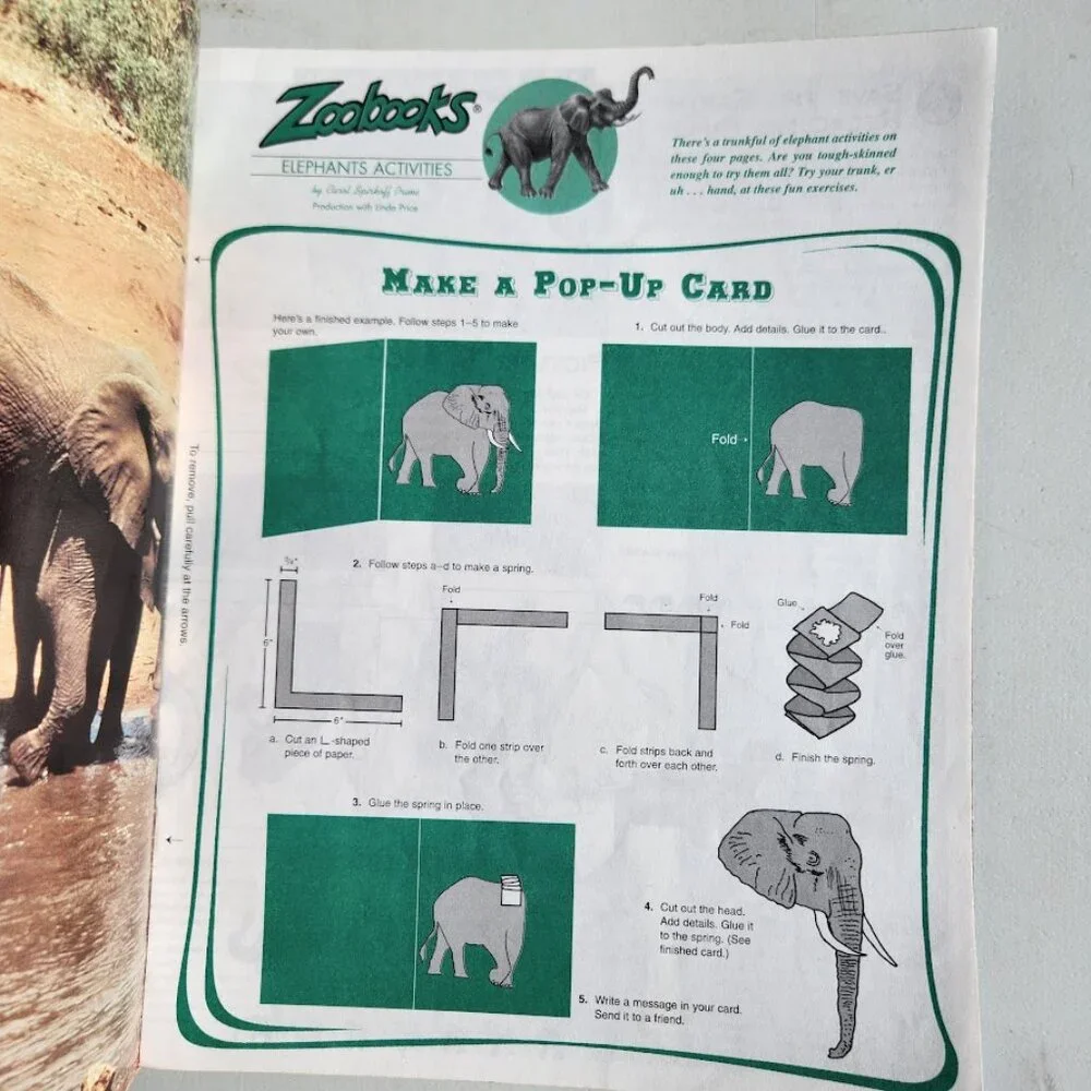 Elephants Zoobooks Kids Magazine Vintage Children's Ranger Rick John Bonnett Wex